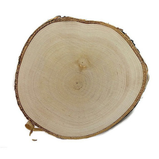Dřevěný plát bříza obroušený 10-12cm 1cm