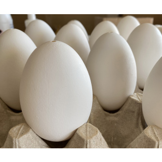 Skořápky husích vajec vyfouknuté 10ks na zdobení velikonoční vajíčka kraslice
