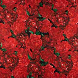 Látka šifón hladká červené květy vzor 0,5m