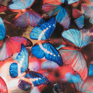 Látka viskóza twill světle modrá hladká motýli vzor 0,5m