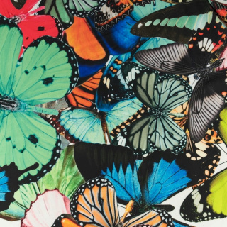 Látka viskóza twill hladká barevní motýli vzor 0,5m