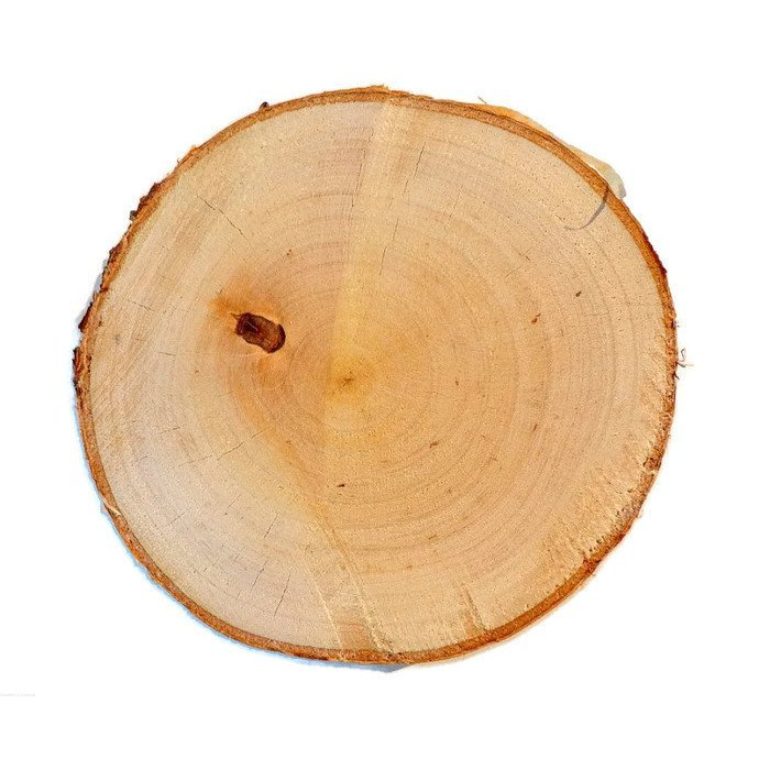 Drevený plát breza obroušený 3-5cm 2cm megamix.shop