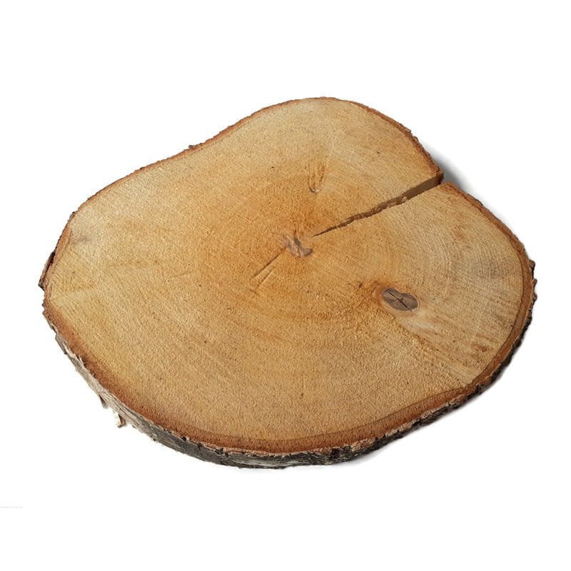 Drevený plát breza neobroušený 25-28cm 2,5cm s prasklinou megamix.shop