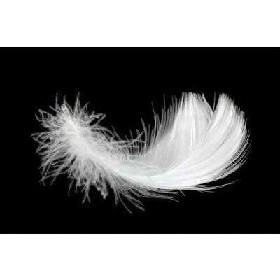 Polštář z peří 70 x 80 cm 2 kg husí peří bavlna megamix.shop