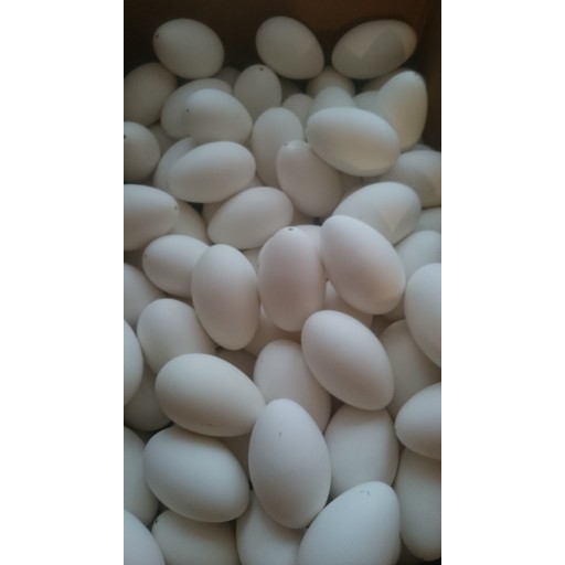 skořápky husích vajec vyfouknuté 10ks na zdobení velikonoční vajíčka kraslice megamix.shop
